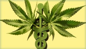 Medical Marijuana for Beginners